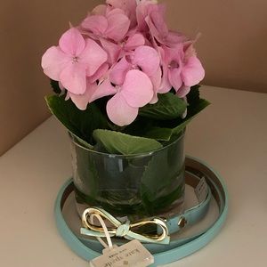 Kate spade belts